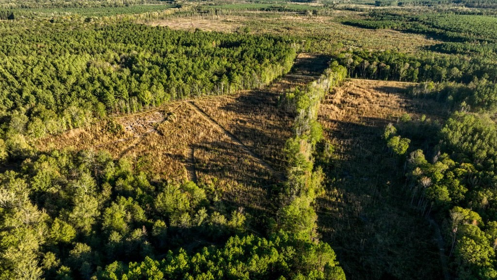 Ogeechee River Plantation – Tract 3 Photo