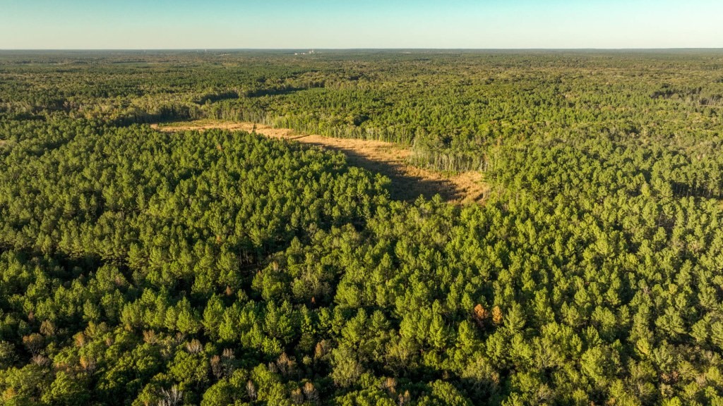 Ogeechee River Plantation – Tract 1 Photo