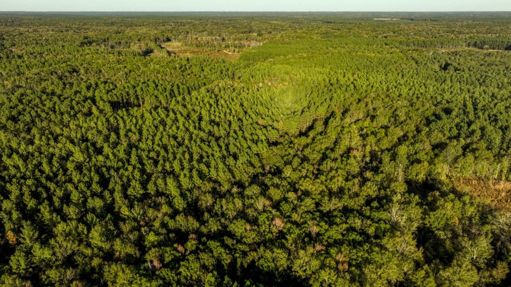 Ogeechee River Plantation – Tract 3 Photo