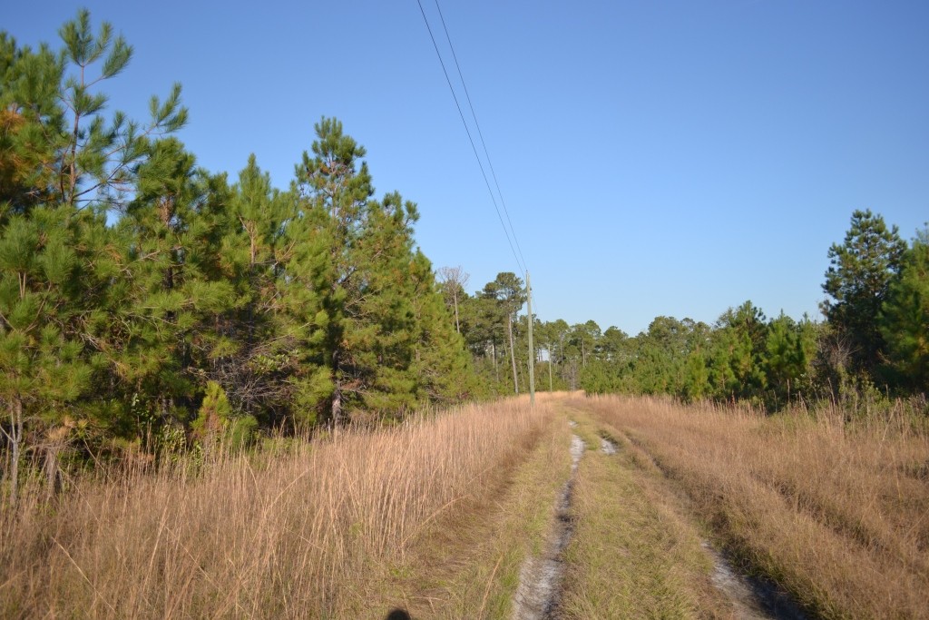 Sandpiper Lane- Tract 1 Photo