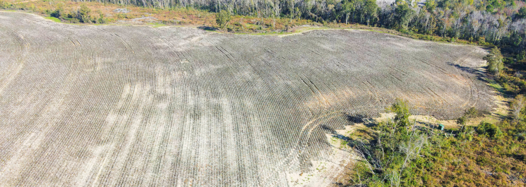 Bowen Hill Farm Main Photo