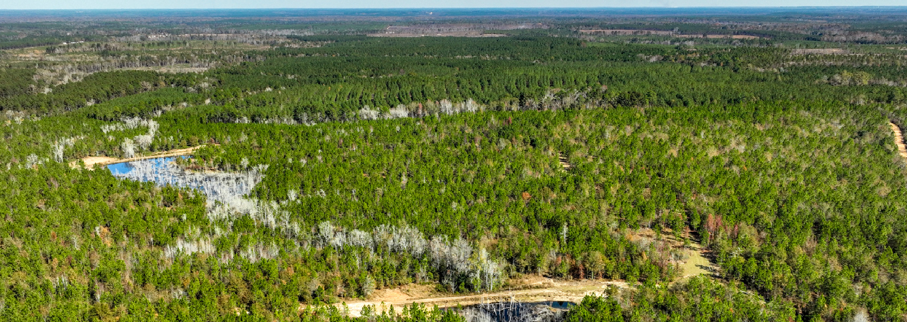 Laurens Ponds & Pines Main Photo