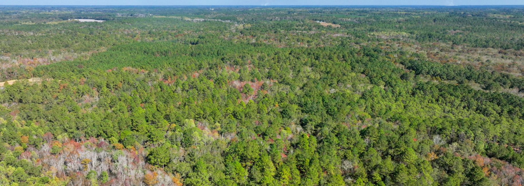 Lotts Creek – Tract 5 Main Photo