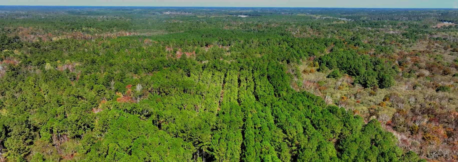 Lotts Creek Tract Main Photo