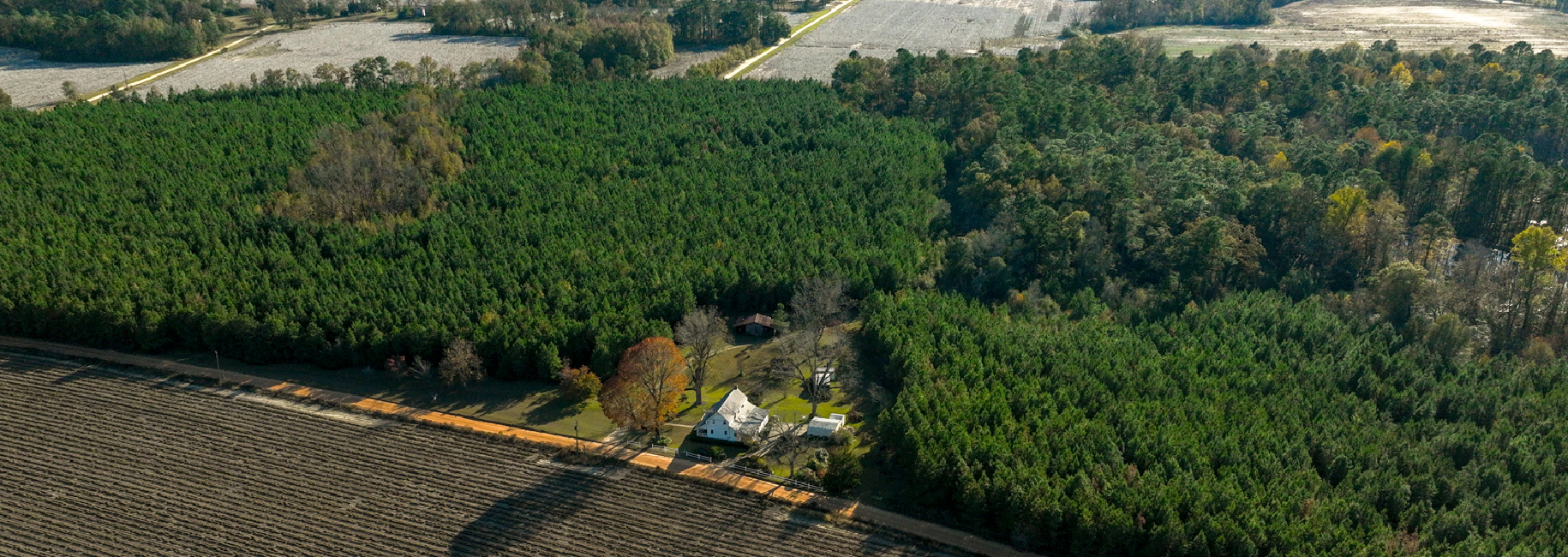 New Light Homeplace Main Photo