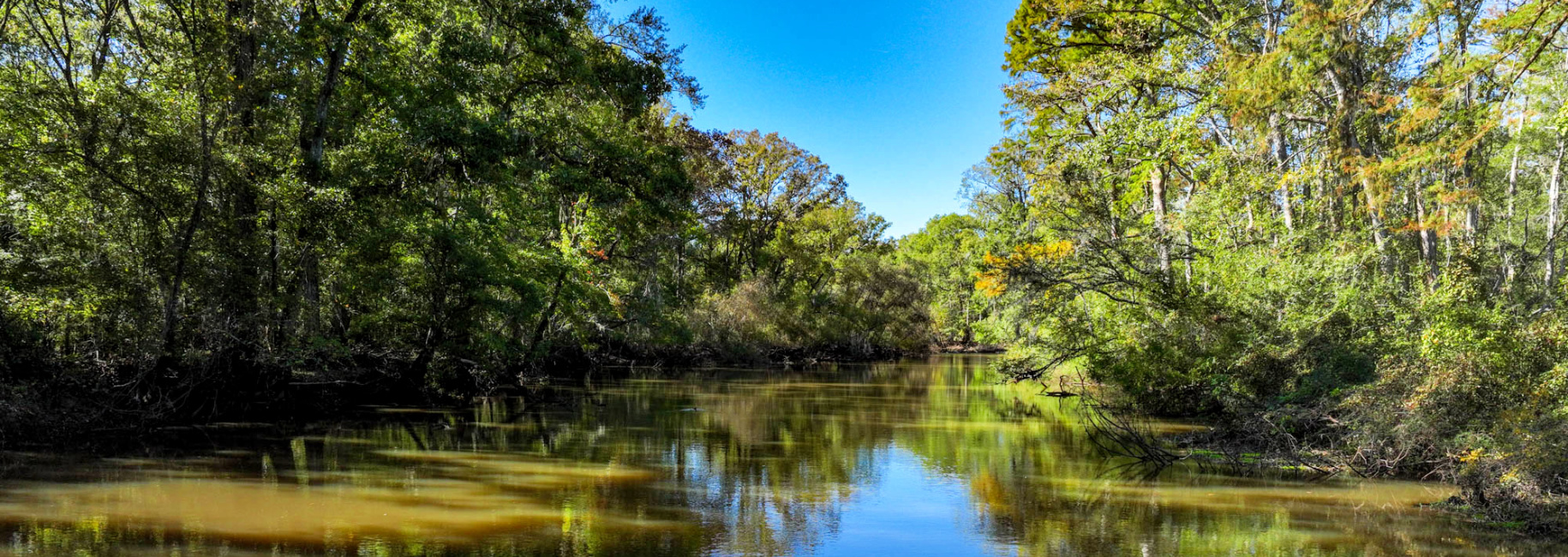 Ogeechee River Plantation – Tract 1 Main Photo