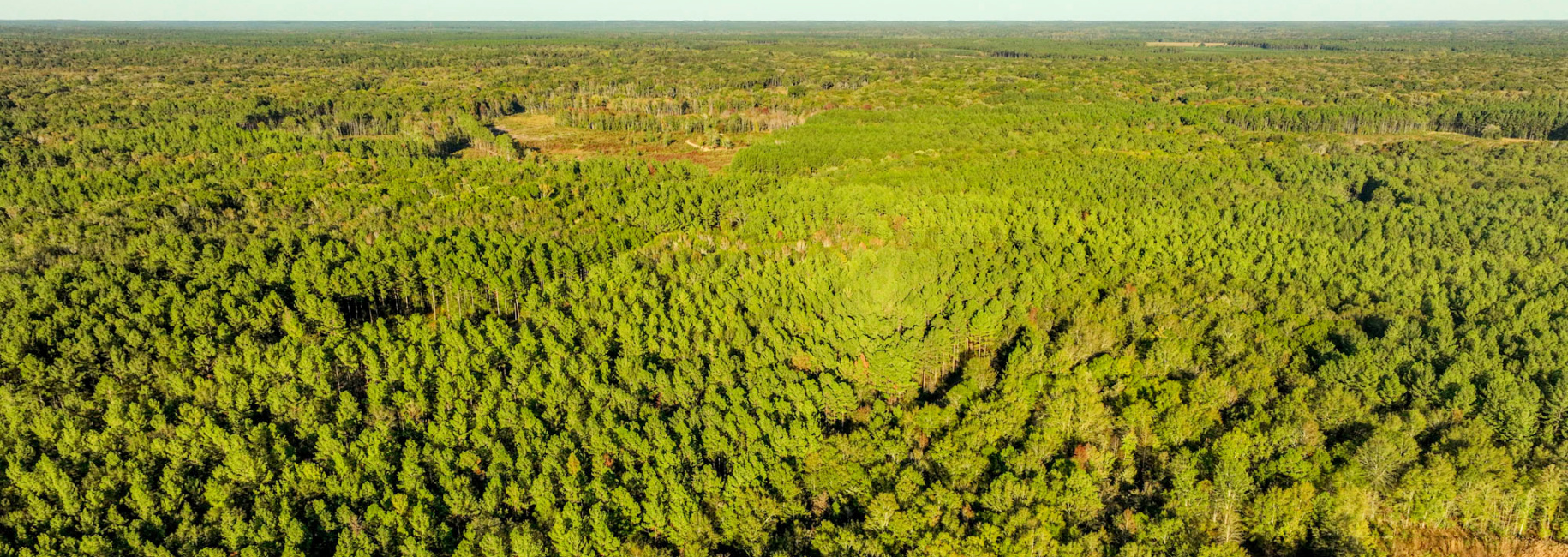 Ogeechee River Plantation – Tract 3 Main Photo