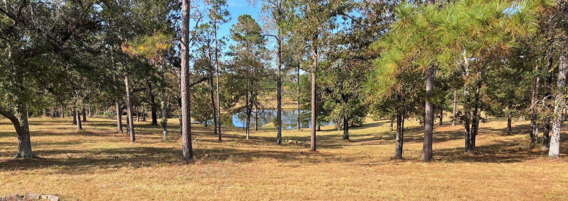 The Brooks Place Main Photo