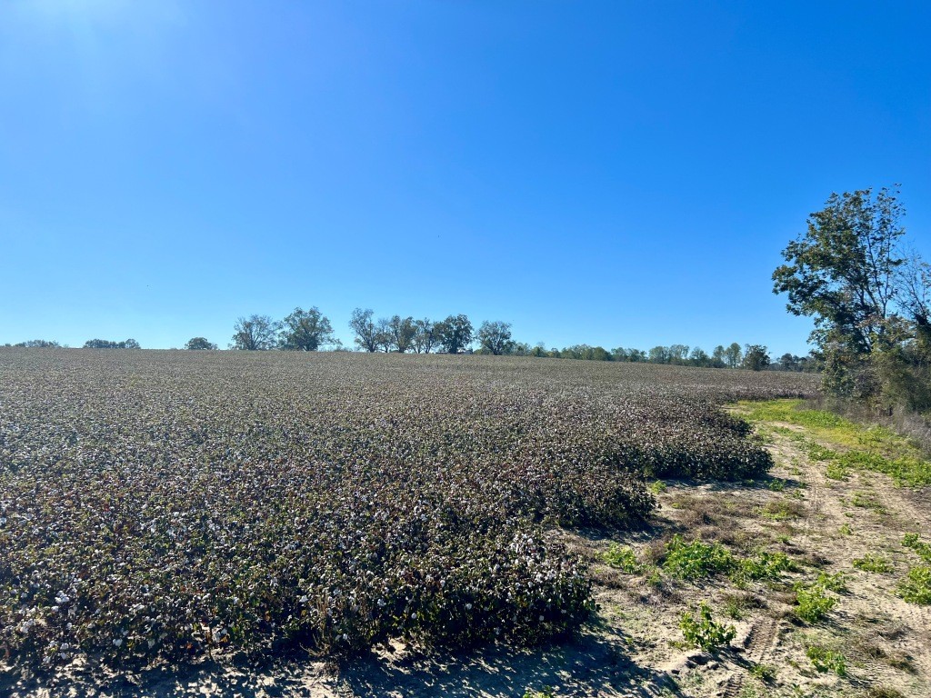 Bowen Hill Farm Photo