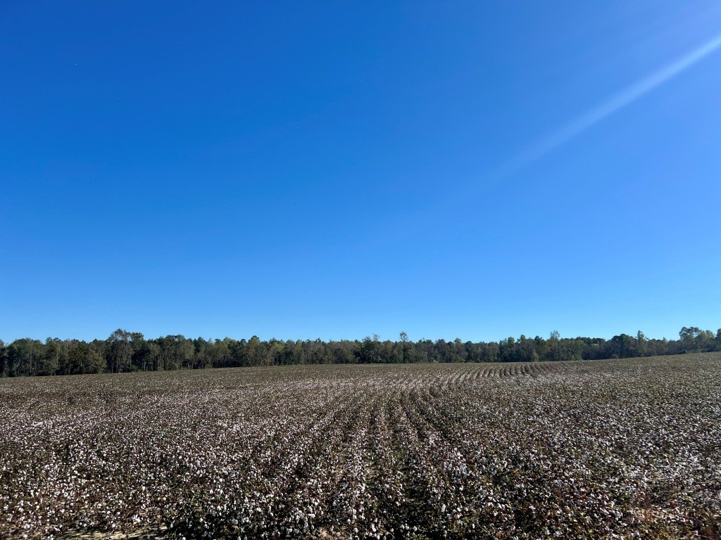Bowen Hill Farm Photo