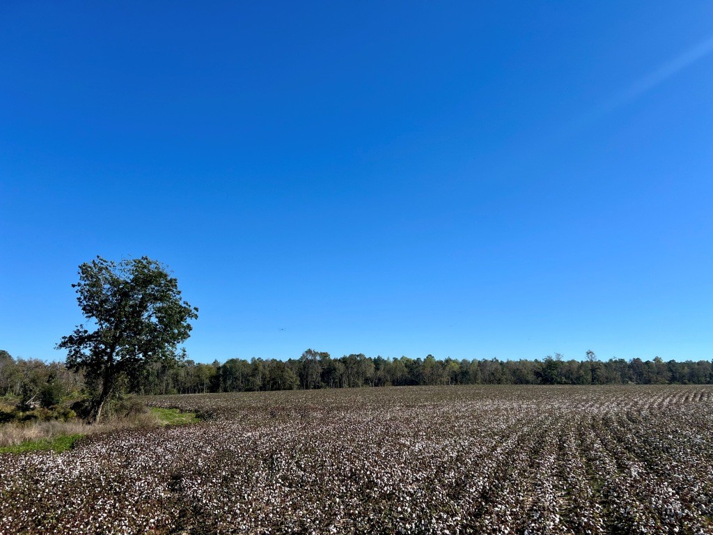 Bowen Hill Farm Photo