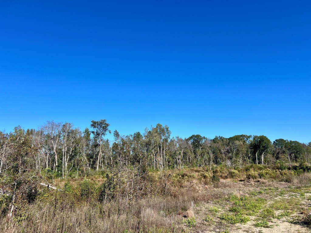 Bowen Hill Farm Photo