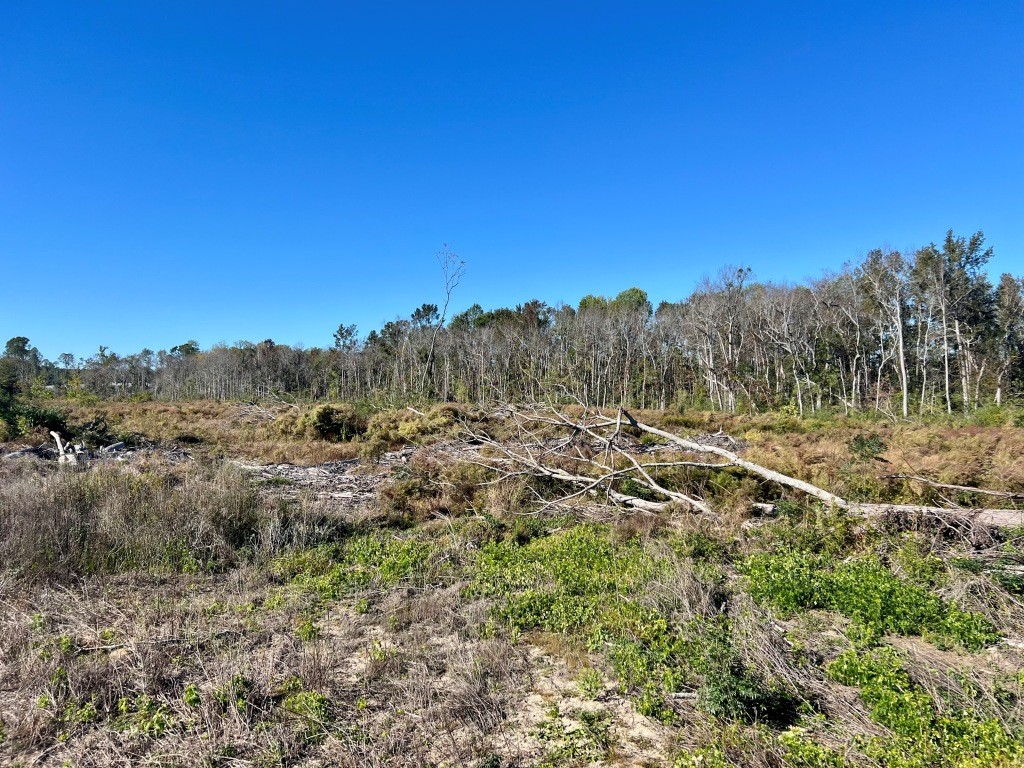 Bowen Hill Farm Photo