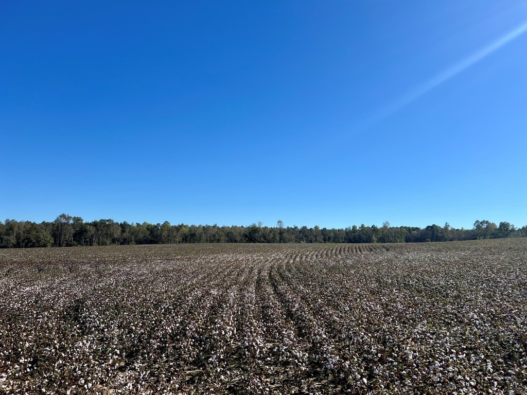 Bowen Hill Farm Photo
