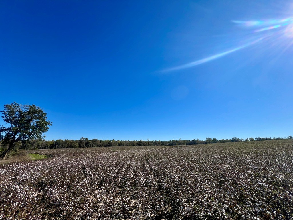 Bowen Hill Farm Photo