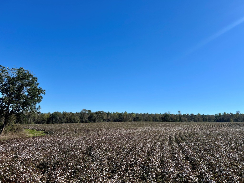 Bowen Hill Farm Photo