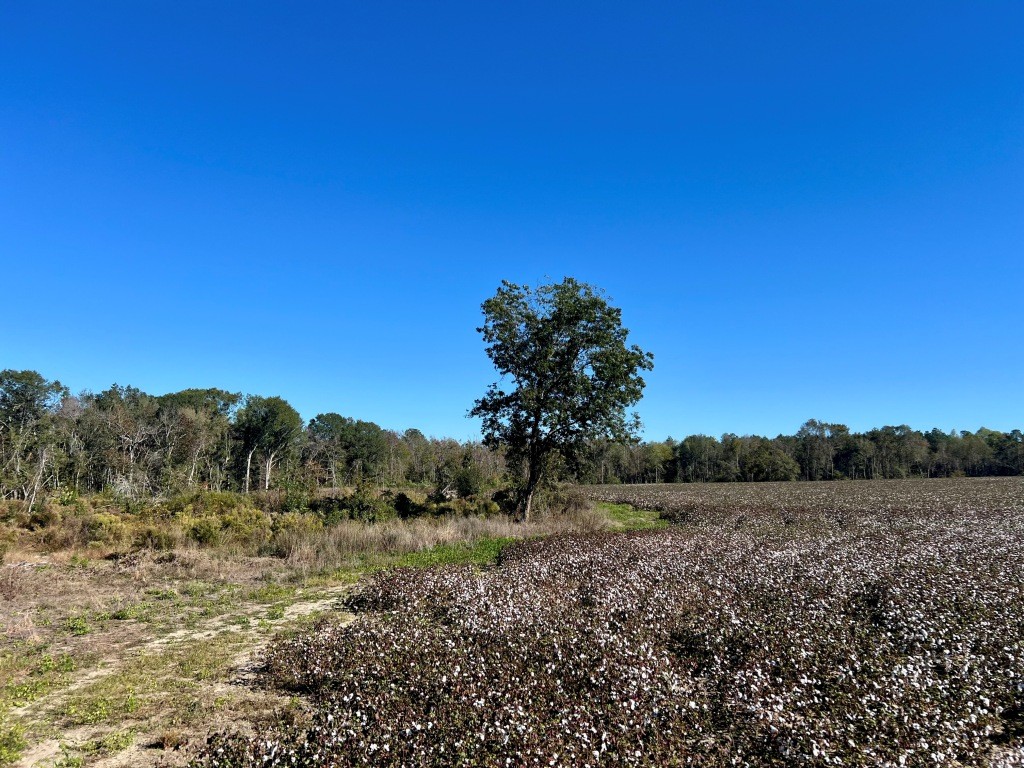Bowen Hill Farm Photo