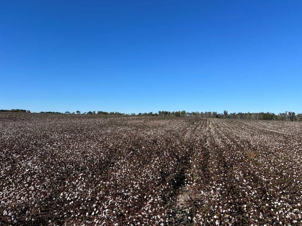 Bowen Hill Farm Photo