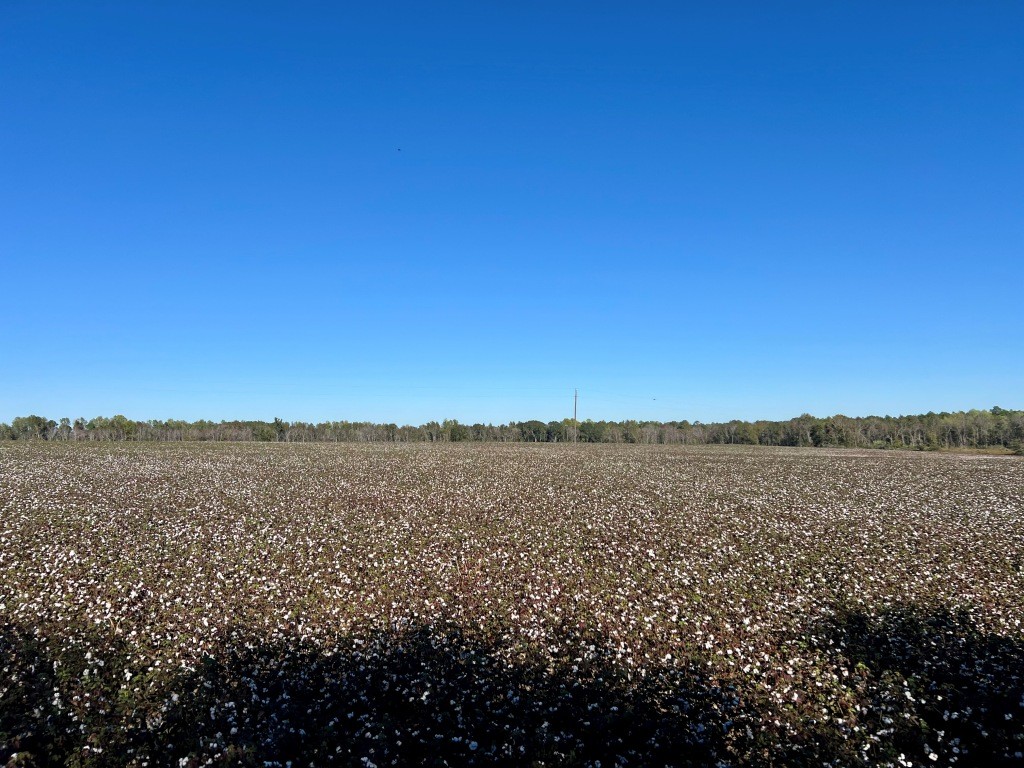 Bowen Hill Farm Photo
