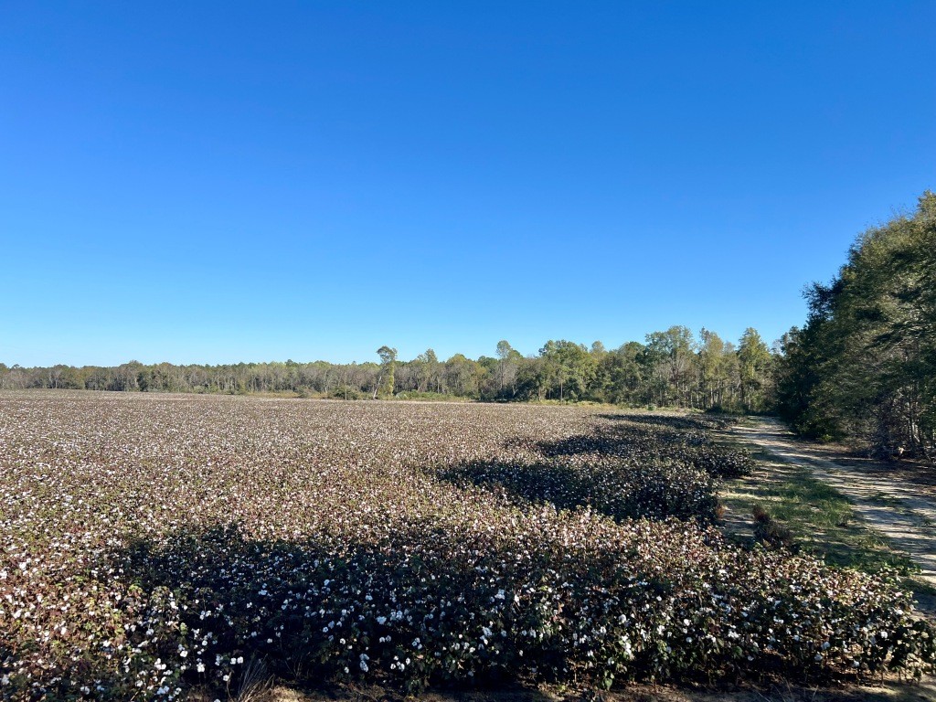 Bowen Hill Farm Photo
