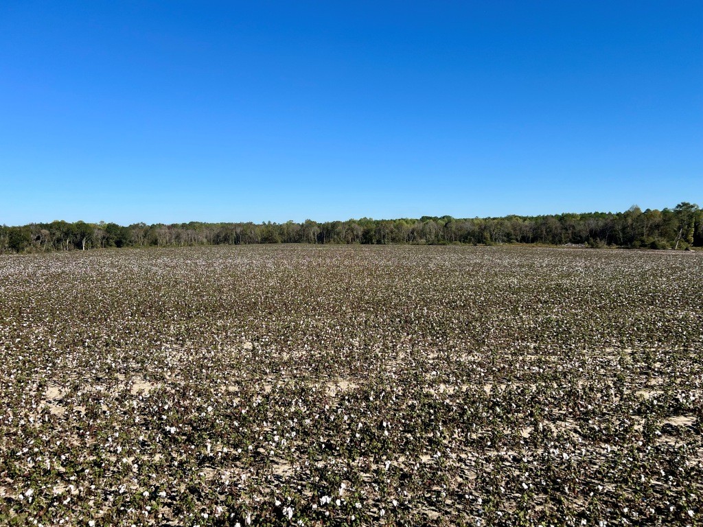 Bowen Hill Farm Photo