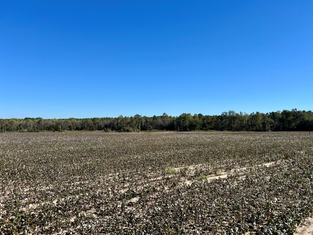 Bowen Hill Farm Photo