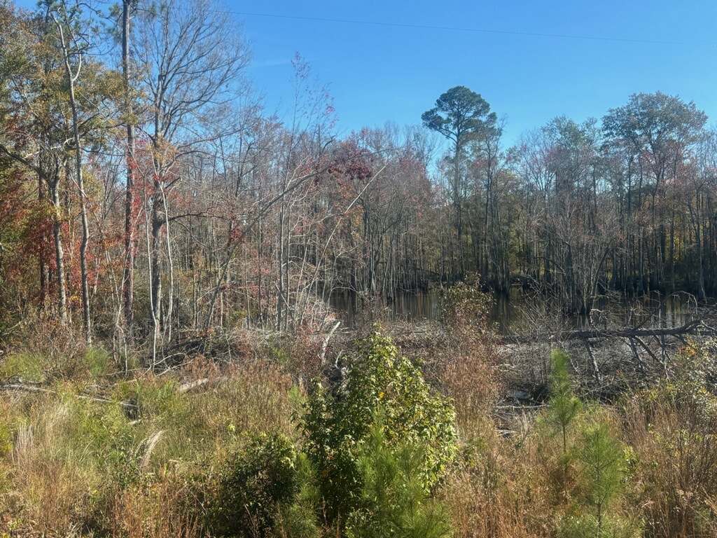 JD Williams Tract Photo