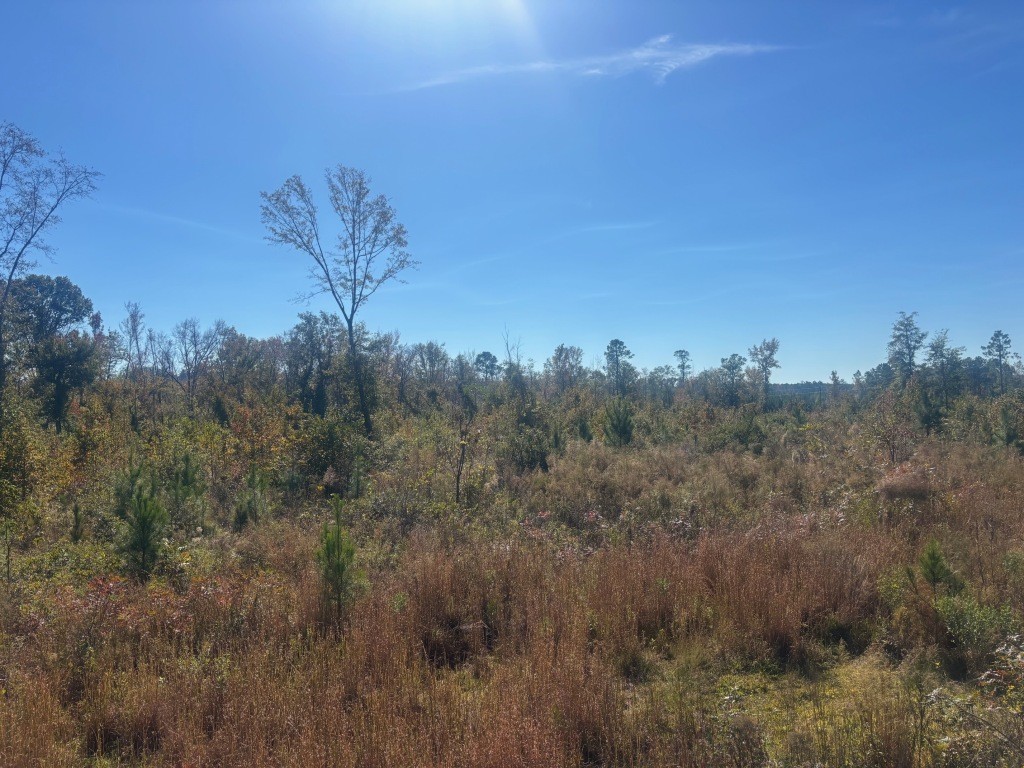 JD Williams Tract Photo