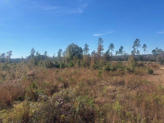 JD Williams Tract Photo