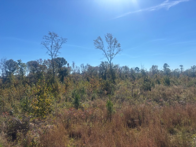 JD Williams Tract Photo