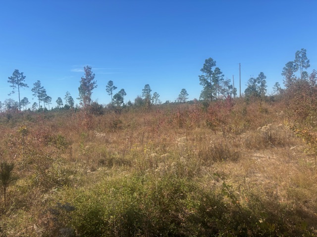 JD Williams Tract Photo