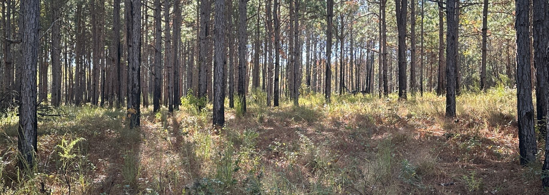 Moccasin Bay Main Photo