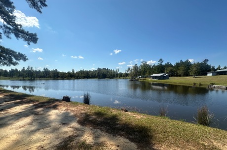 Hiltonia Lakes