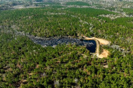 Laurens Ponds & Pines