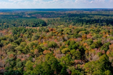 Lotts Creek – Tract 2