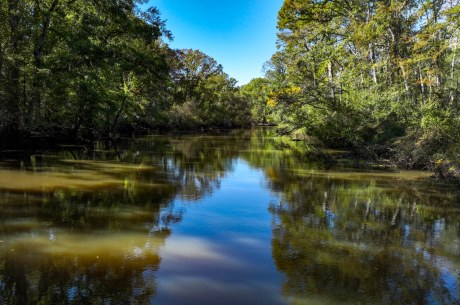 Ogeechee River Plantation – Tract 1