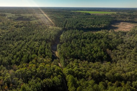 Ogeechee River Plantation – Tract 3