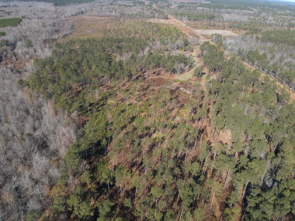 The Kitchings Place Photo