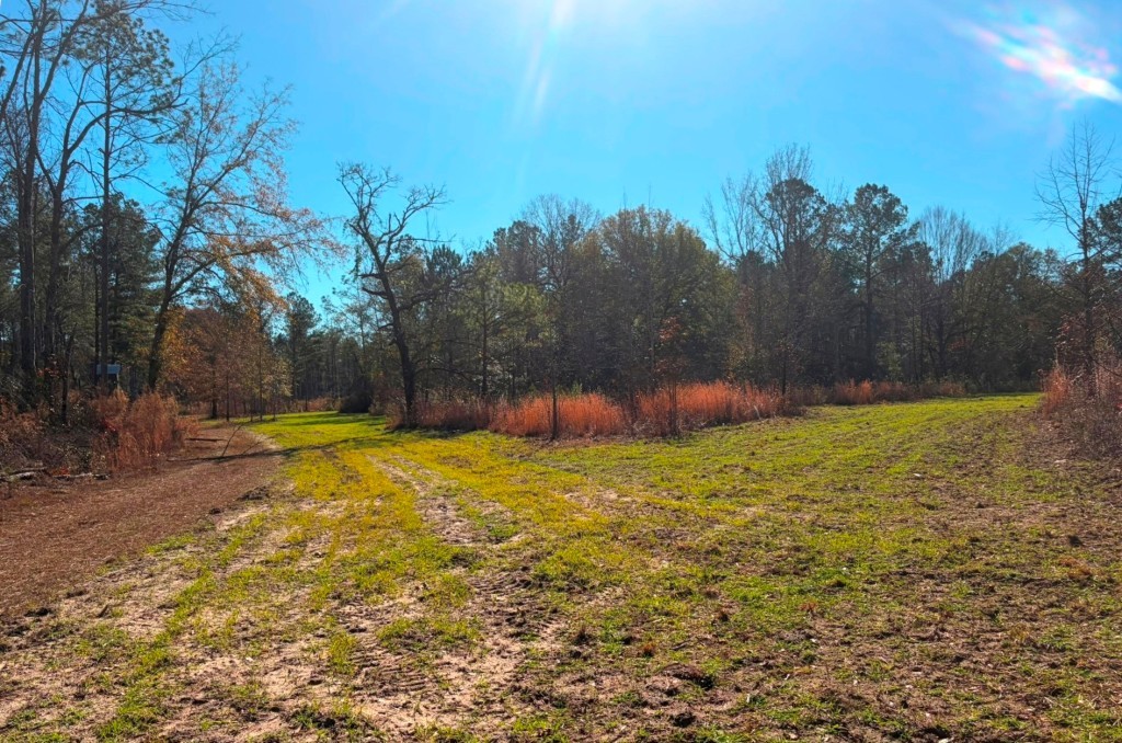 The Kitchings Place Photo