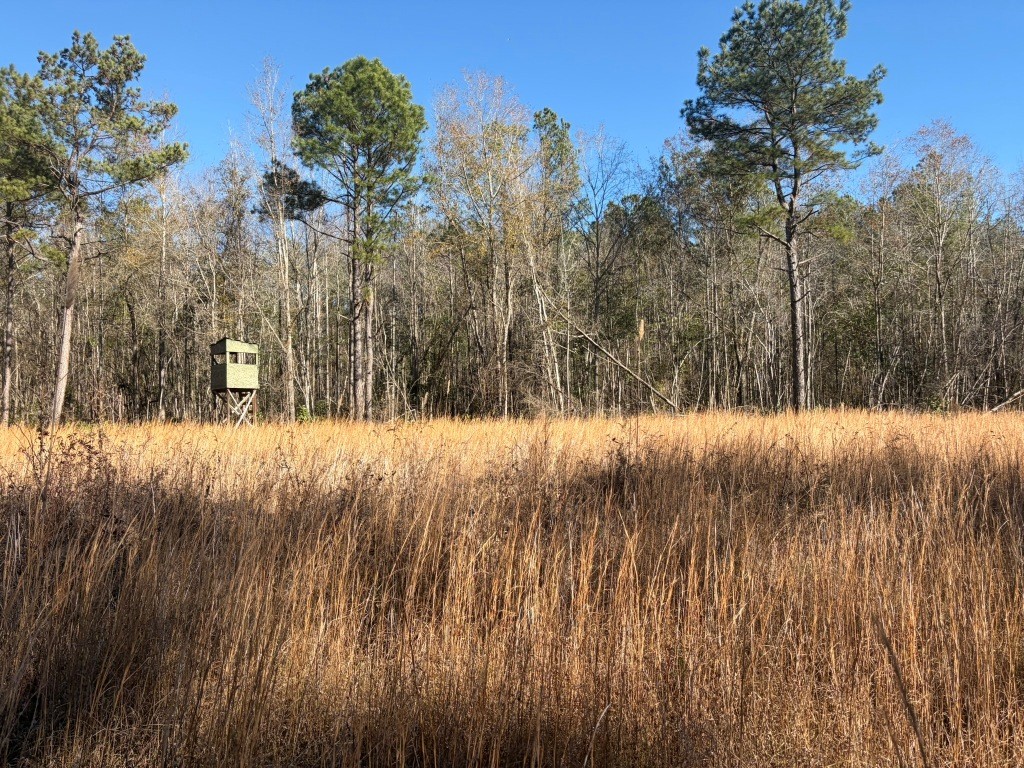 The Kitchings Place Photo