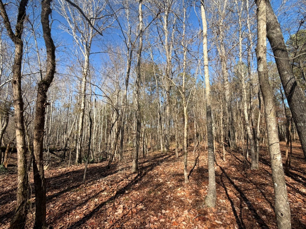 The Kitchings Place Photo