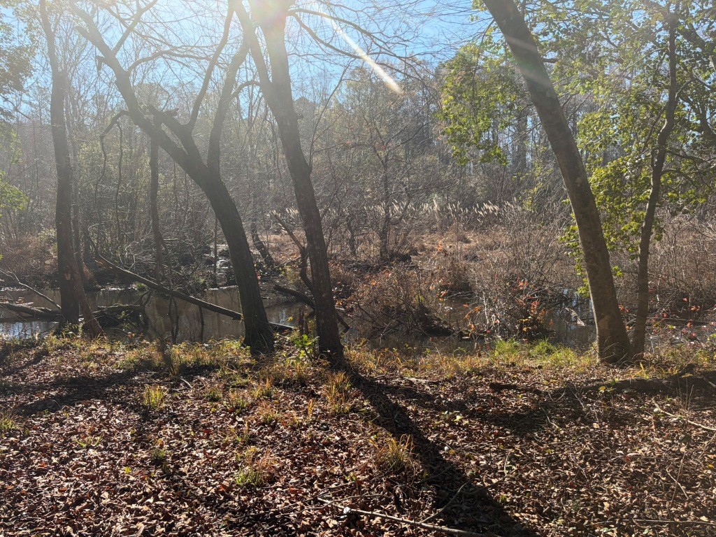 The Kitchings Place Photo