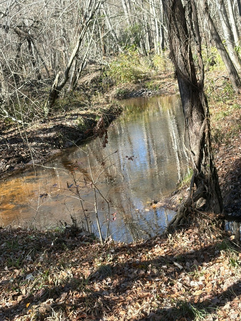 The Kitchings Place Photo