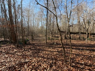 The Kitchings Place Photo