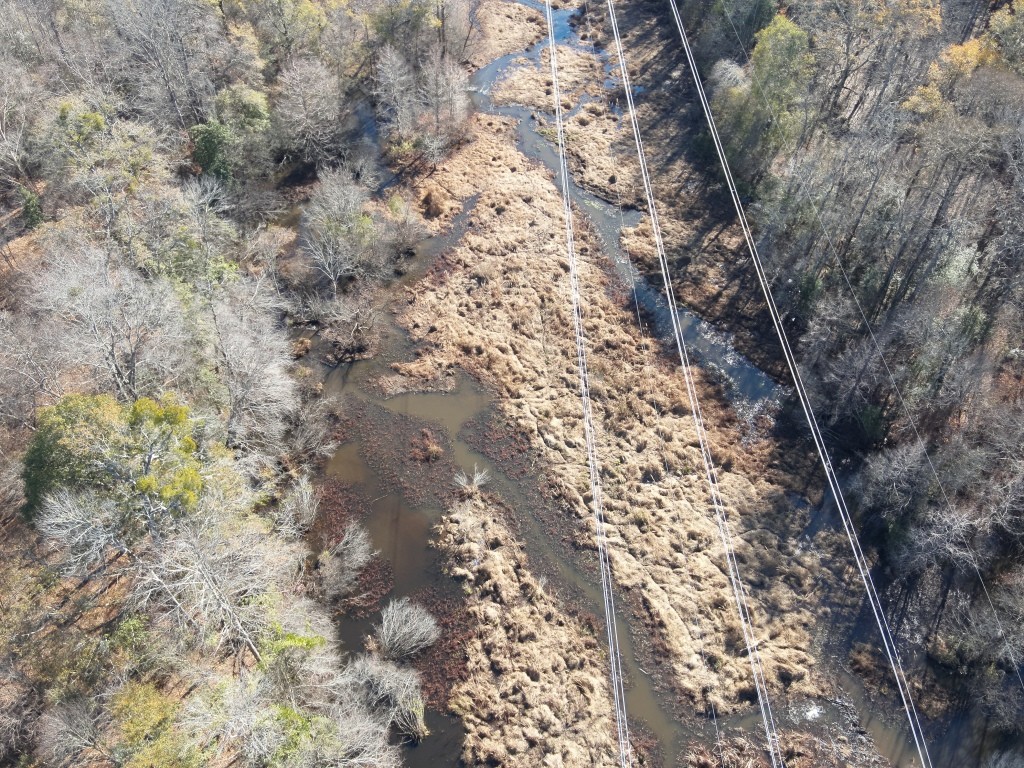 The Kitchings Place Photo