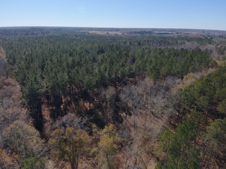 The Kitchings Place Photo