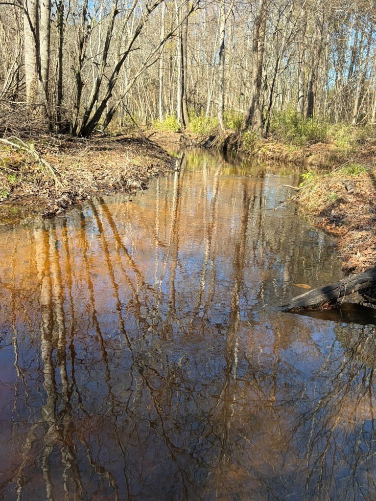 The Kitchings Place Photo