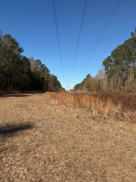 The Kitchings Place Photo