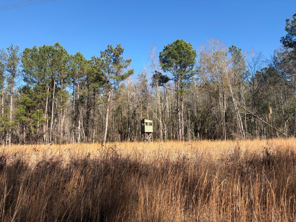 The Kitchings Place Photo