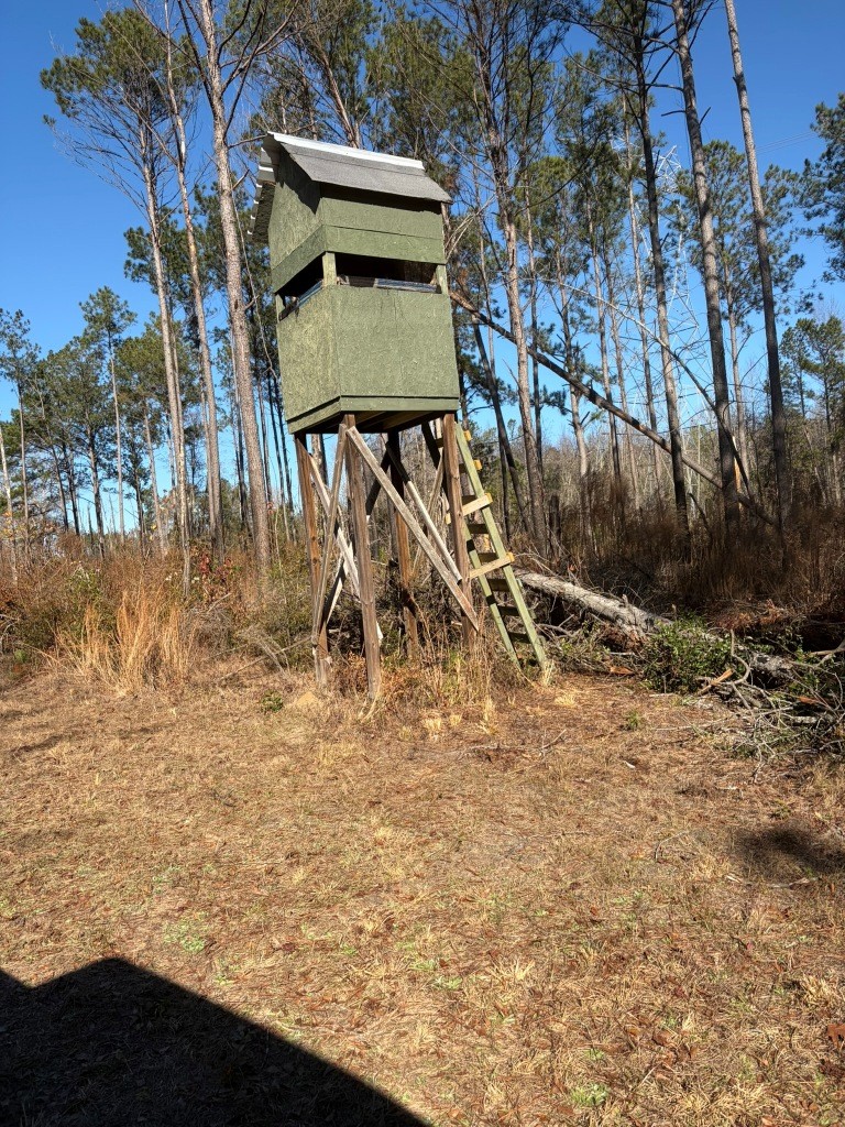 The Kitchings Place Photo
